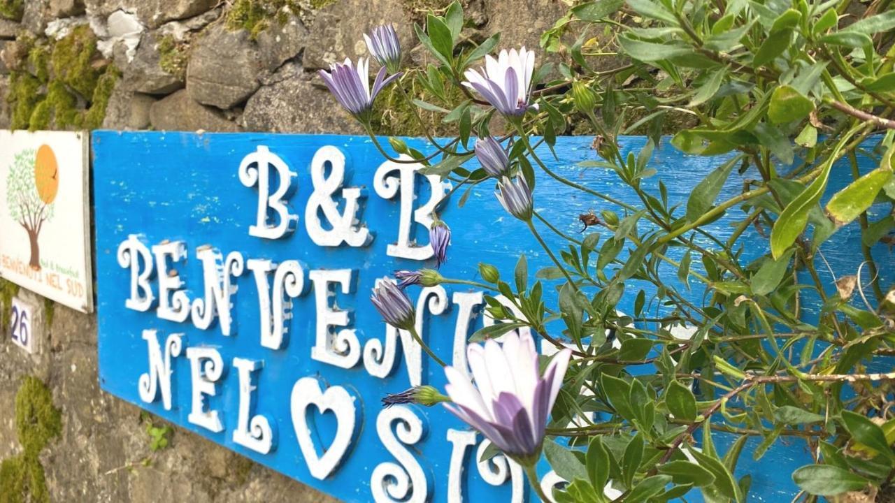 Benvenuti Nel Sud Bed & Breakfast Sessa Cilento Dış mekan fotoğraf