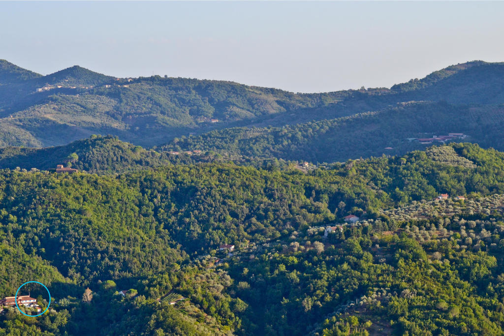 Benvenuti Nel Sud Bed & Breakfast Sessa Cilento Dış mekan fotoğraf