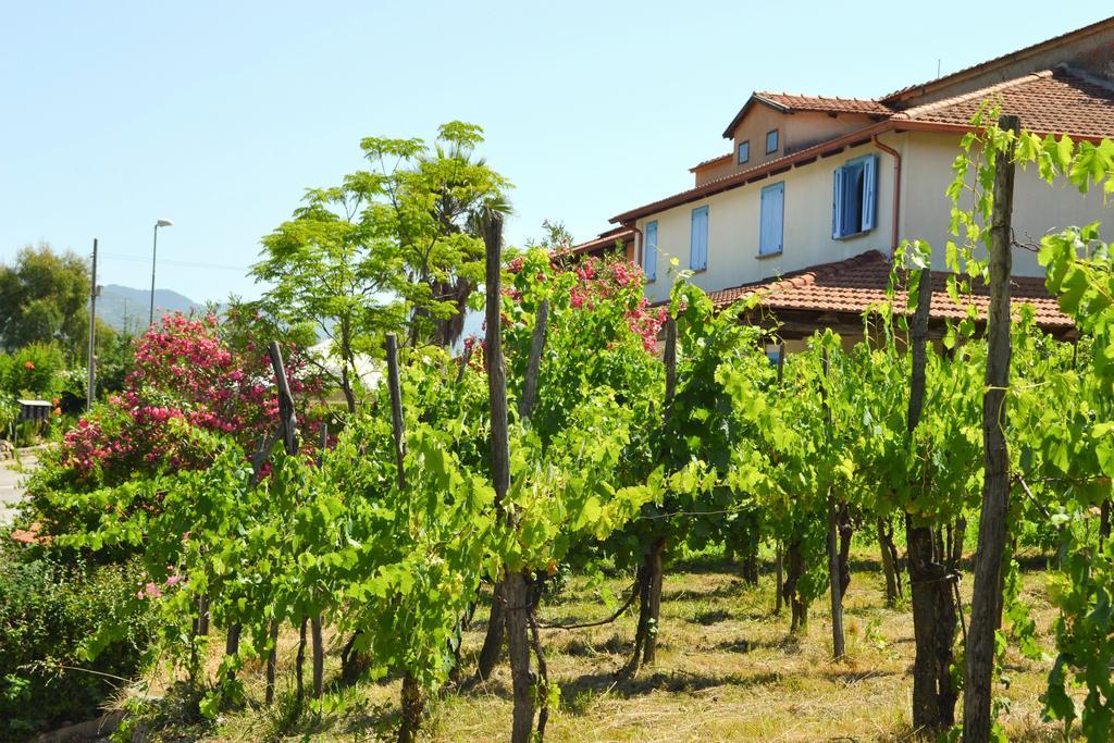 Benvenuti Nel Sud Bed & Breakfast Sessa Cilento Dış mekan fotoğraf