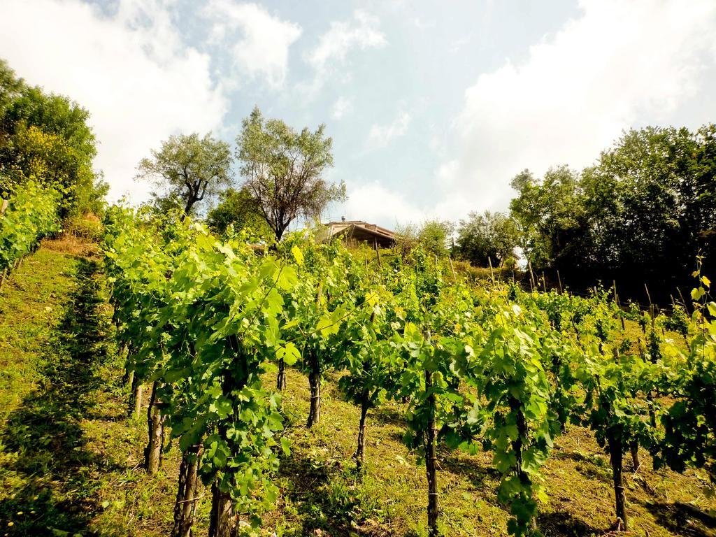 Benvenuti Nel Sud Bed & Breakfast Sessa Cilento Dış mekan fotoğraf