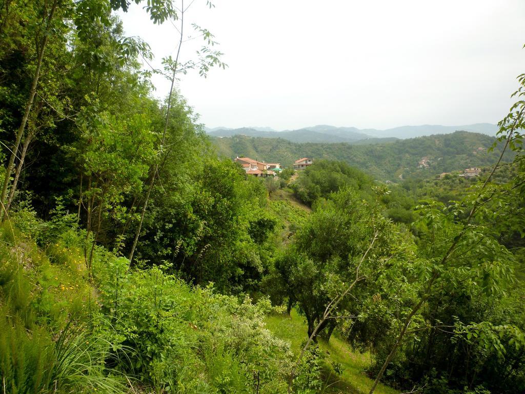 Benvenuti Nel Sud Bed & Breakfast Sessa Cilento Dış mekan fotoğraf