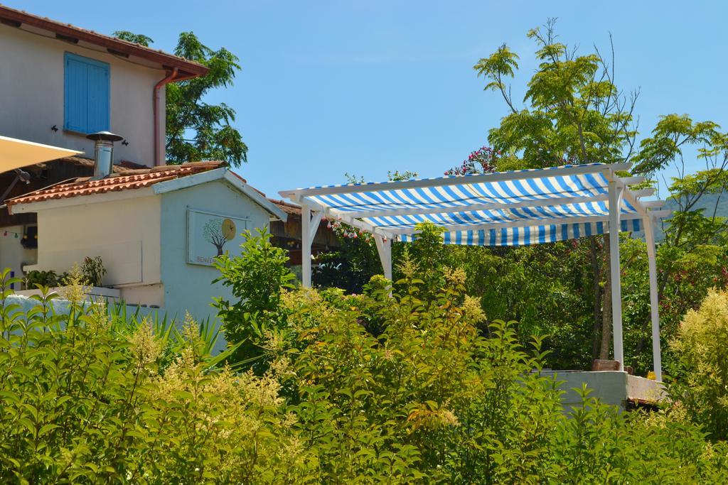 Benvenuti Nel Sud Bed & Breakfast Sessa Cilento Dış mekan fotoğraf