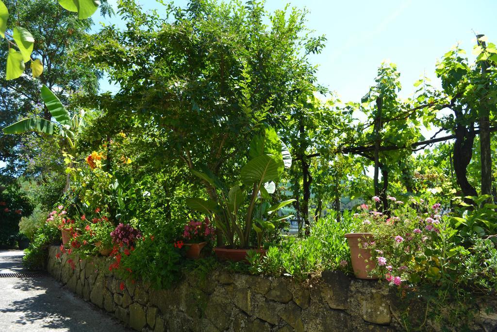 Benvenuti Nel Sud Bed & Breakfast Sessa Cilento Dış mekan fotoğraf