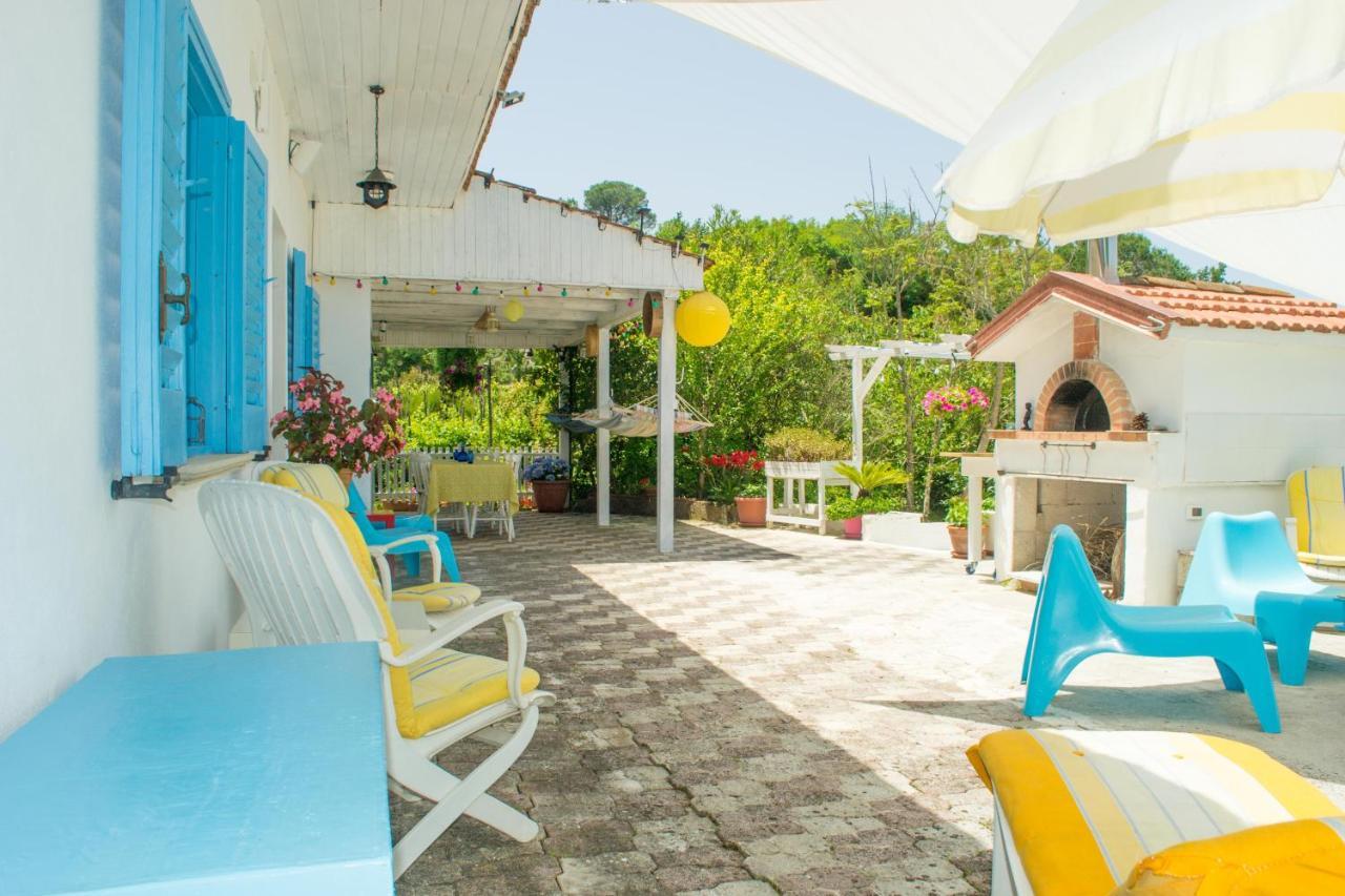 Benvenuti Nel Sud Bed & Breakfast Sessa Cilento Dış mekan fotoğraf