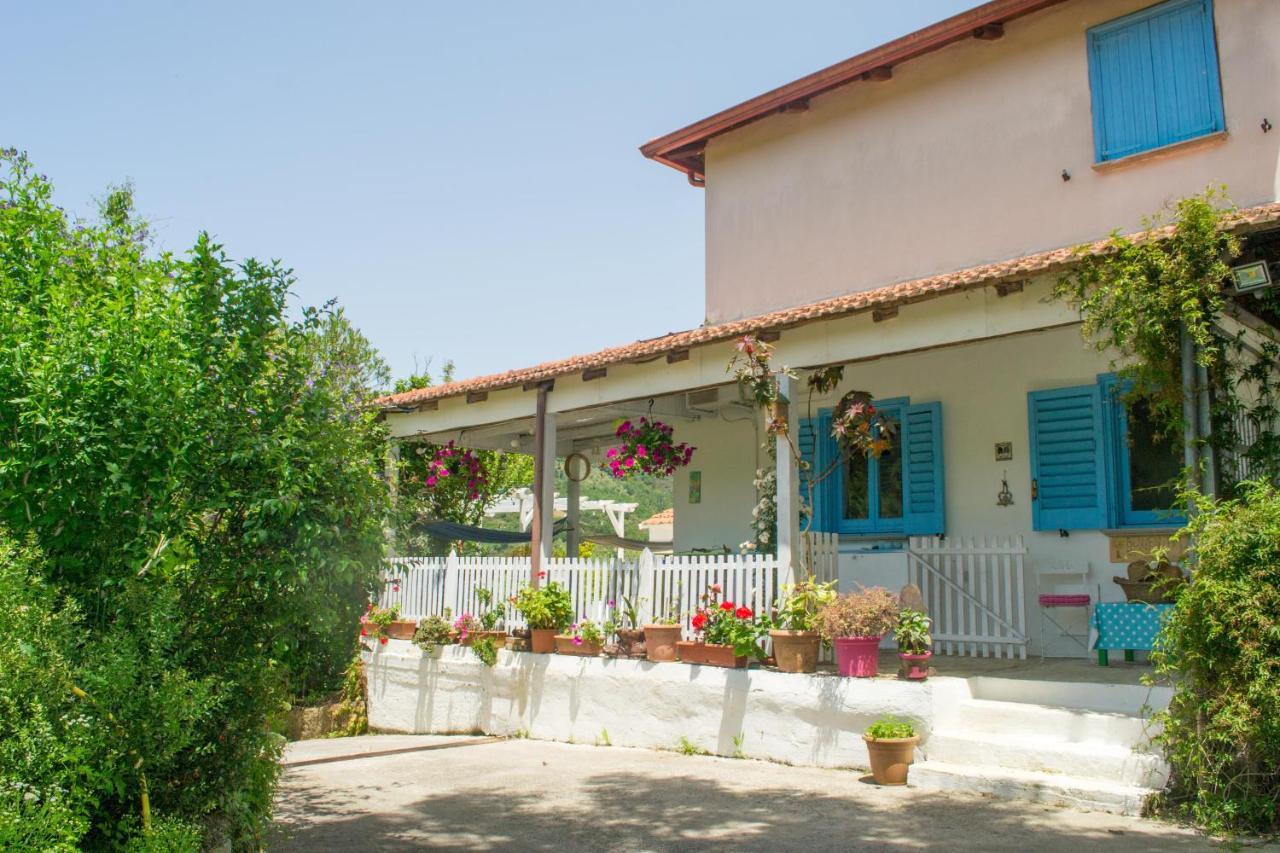 Benvenuti Nel Sud Bed & Breakfast Sessa Cilento Dış mekan fotoğraf