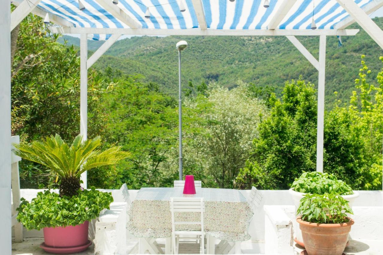 Benvenuti Nel Sud Bed & Breakfast Sessa Cilento Dış mekan fotoğraf